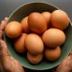 Telur dan Daging Ayam Jadi Menu Wajib MBG di Jawa Tengah, Disajikan 2 Kali per Pekan