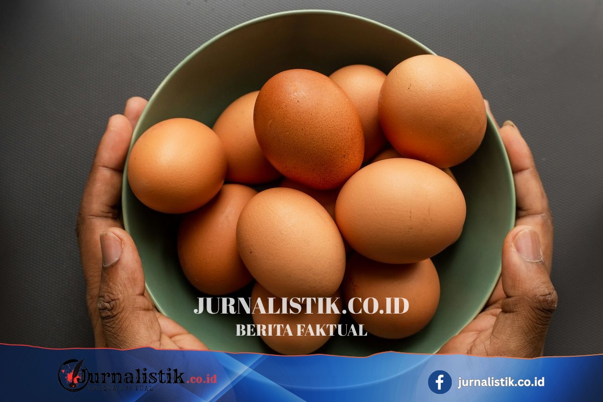 Telur dan Daging Ayam Jadi Menu Wajib MBG di Jateng, Disajikan 2 Kali dalam Sepekan Regional 19 Juni 2026