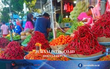 Harga Cabai dan Tomat di Sumenep Mereda Usai Libur MBG