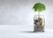 Pemerintah Serap Rp 8,85 Triliun dari Lelang SBSN, Penawaran Masuk Rp 26 Triliun Money 3 Juni 2026
