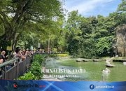 Gratis Masuk Ragunan 3 Hari pada Akhir Juni 2026, Catat Tanggalnya News 15 Juni 2026