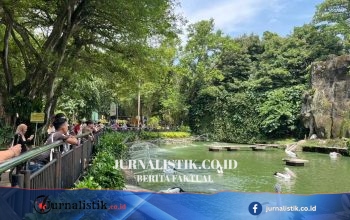 Gratis Masuk Ragunan 3 Hari pada Akhir Juni 2026, Catat Tanggalnya News 15 Juni 2026