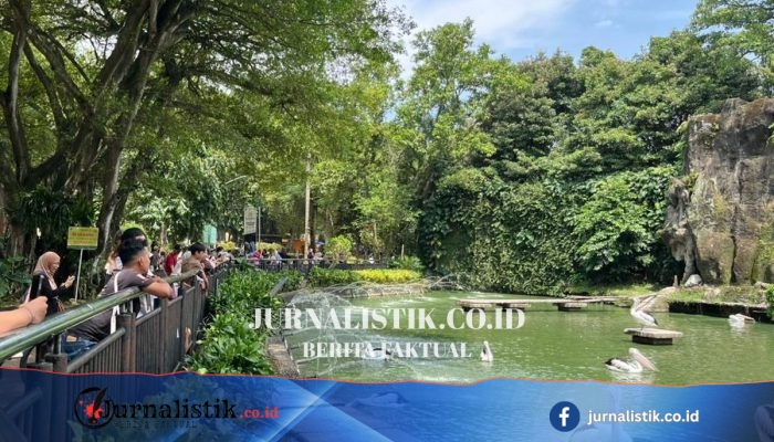 Masuk Gratis ke Ragunan 3 Hari di Akhir Juni 2026, Catat Tanggalnya