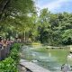 Masuk Gratis ke Ragunan 3 Hari di Akhir Juni 2026, Catat Tanggalnya