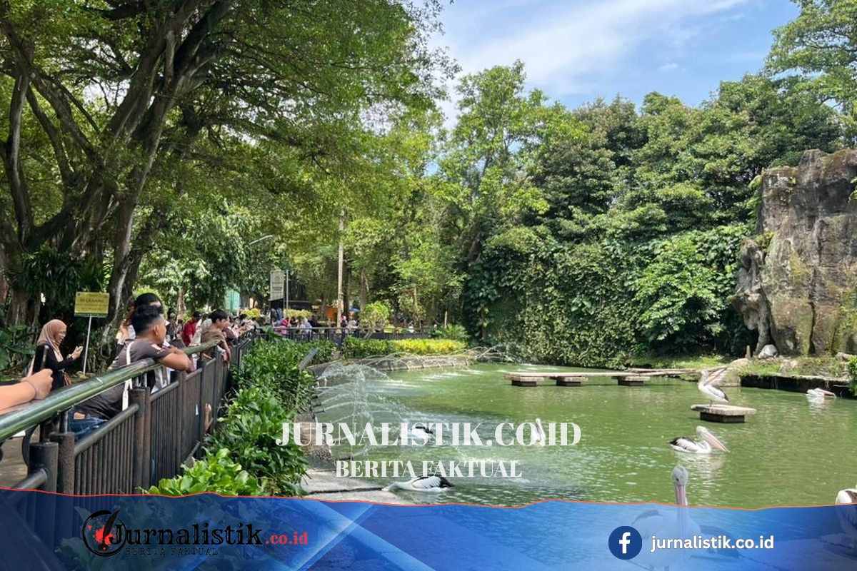 Gratis Masuk Ragunan 3 Hari pada Akhir Juni 2026, Catat Tanggalnya News 15 Juni 2026