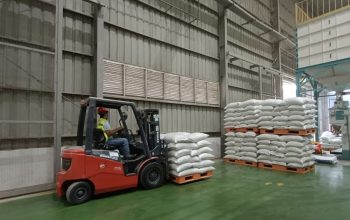 Bulog Serap 3 Juta Ton Gabah-Beras Petani, 75 Persen Target Pengadaan 2026 Money 3 Juni 2026