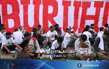 23.470 Pekerja Kena PHK pada Januari–Mei 2026: Ini 5 Provinsi dengan Kasus Tertinggi