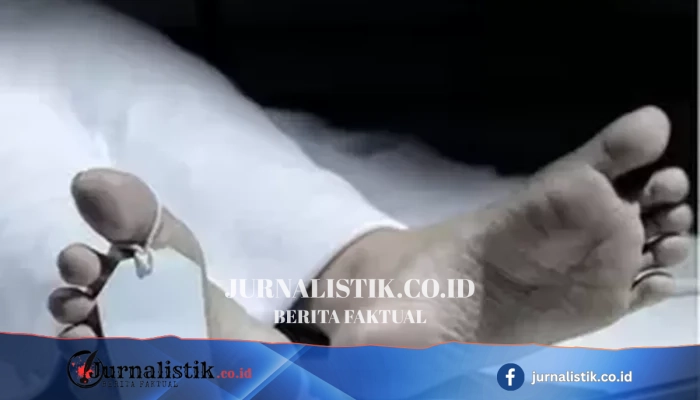 Kemhan: Calon Manajer KDKMP dan KNMP Telah Lulus Tes Kesehatan sebelum Latsarmil