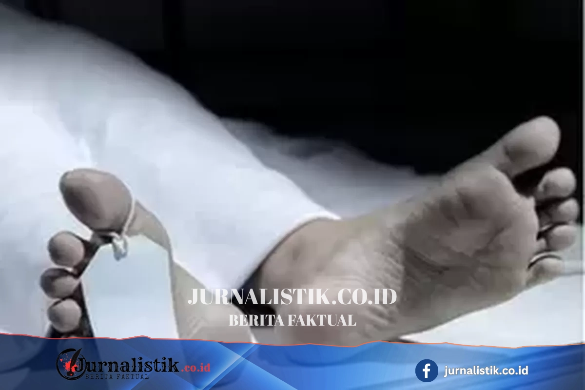 Kemhan: Kesehatan Calon Manajer Kopdes Merah Putih Telah Dites Sebelum Latsarmil News 24 Juni 2026