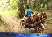 Kemenperin Perkuat Industri Kerajinan Berbasis Sawit untuk Dorong Ekonomi Sirkular Money 25 Juni 2026