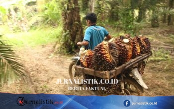 Kemenperin Perkuat Industri Kerajinan Berbasis Sawit untuk Dorong Ekonomi Sirkular