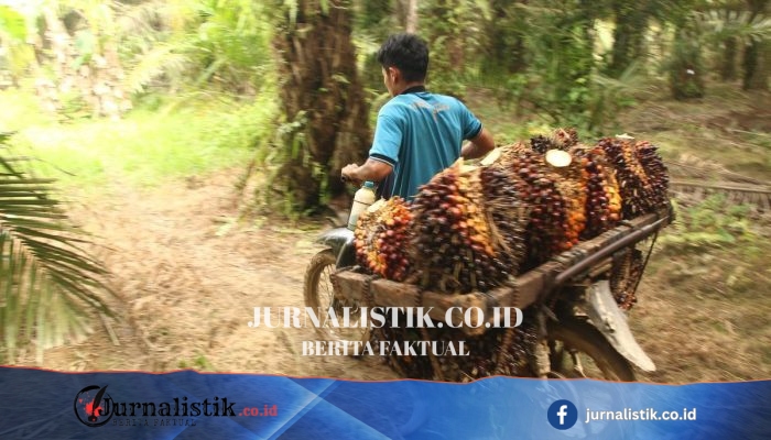 Kemenperin Perkuat Industri Kerajinan Berbasis Sawit untuk Dorong Ekonomi Sirkular