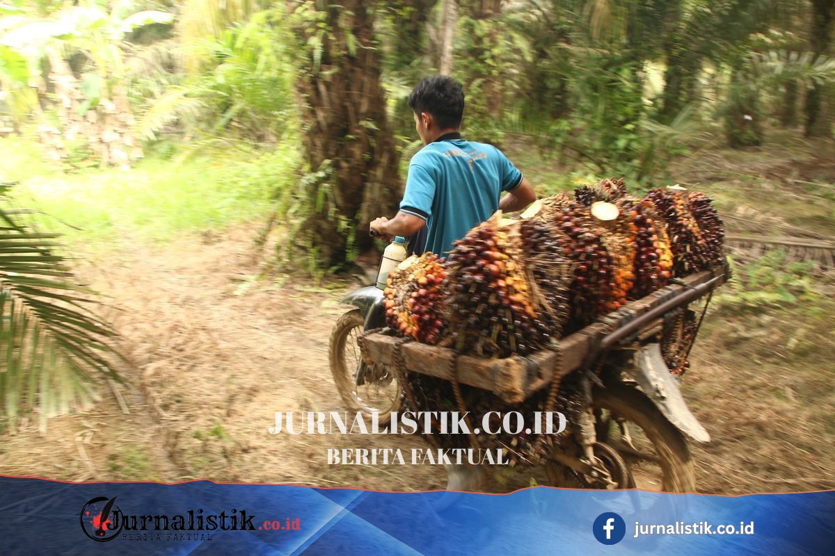 Kemenperin Perkuat Industri Kerajinan Berbasis Sawit untuk Dorong Ekonomi Sirkular Money 25 Juni 2026