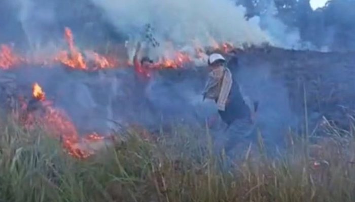 Savana Propok di Gunung Rinjani Terbakar, 15 Petugas Dikerahkan untuk Memadamkan Api