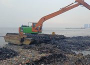 Bahaya Tersembunyi Pulau Sampah Muara Angke Terhadap Makanan Manusia News 5 Juni 2026