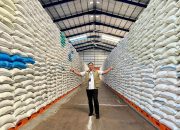 Serapan Beras Bulog Sudah 75 Persen dari Target 4 Juta Ton Money 4 Juni 2026