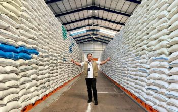 Serapan Beras Bulog Sudah 75 Persen dari Target 4 Juta Ton Money 4 Juni 2026