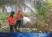 Kebakaran Lahan Gambut 334 Hektare di Nagan Raya: Desakan Usut Pelaku dan Evaluasi Izin Usaha