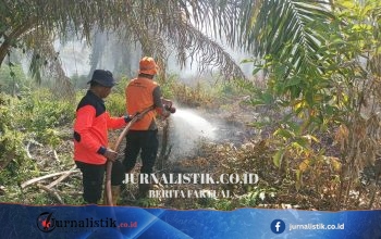 334 Hektare Gambut Terbakar di Nagan Raya, Desakan Usut Pelaku dan Evaluasi Izin Usaha Regional 9 Juni 2026