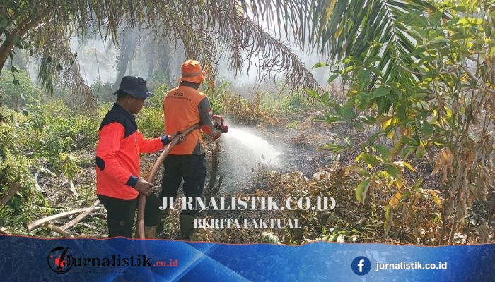 Kebakaran Lahan Gambut 334 Hektare di Nagan Raya: Desakan Usut Pelaku dan Evaluasi Izin Usaha