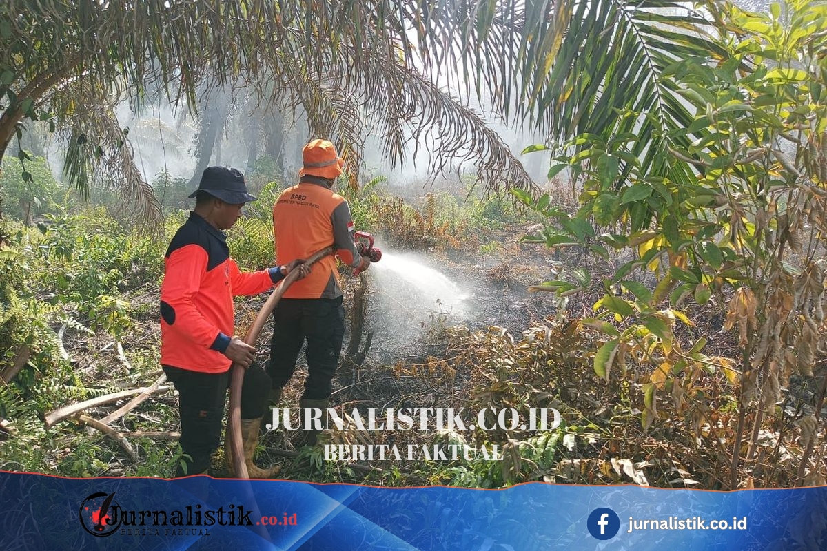 334 Hektare Gambut Terbakar di Nagan Raya, Desakan Usut Pelaku dan Evaluasi Izin Usaha Regional 9 Juni 2026