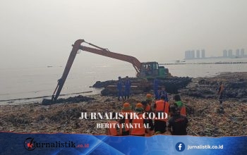 Pulau Sampah di Jakarta dan Ancaman yang Mengalir ke Meja Makan News 6 Juni 2026