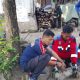 Setahun Dipelihara, Monyet Abu-Abu di Situbondo Beringas Ancam Keselamatan Pemiliknya
