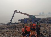 Butuh Lebih Satu Dekade Pulihkan Mangrove yang Terdampak Pulau Sampah Muara Angke News 5 Juni 2026