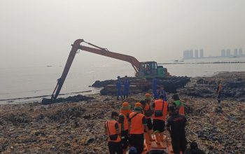 Butuh Lebih Satu Dekade Pulihkan Mangrove yang Terdampak Pulau Sampah Muara Angke News 5 Juni 2026