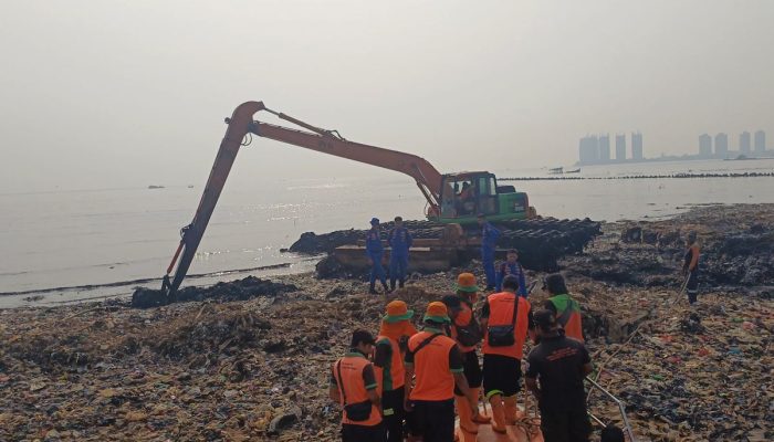 Butuh Lebih dari Satu Dekade untuk Pulihkan Mangrove yang Terdampak Pulau Sampah Muara Angke