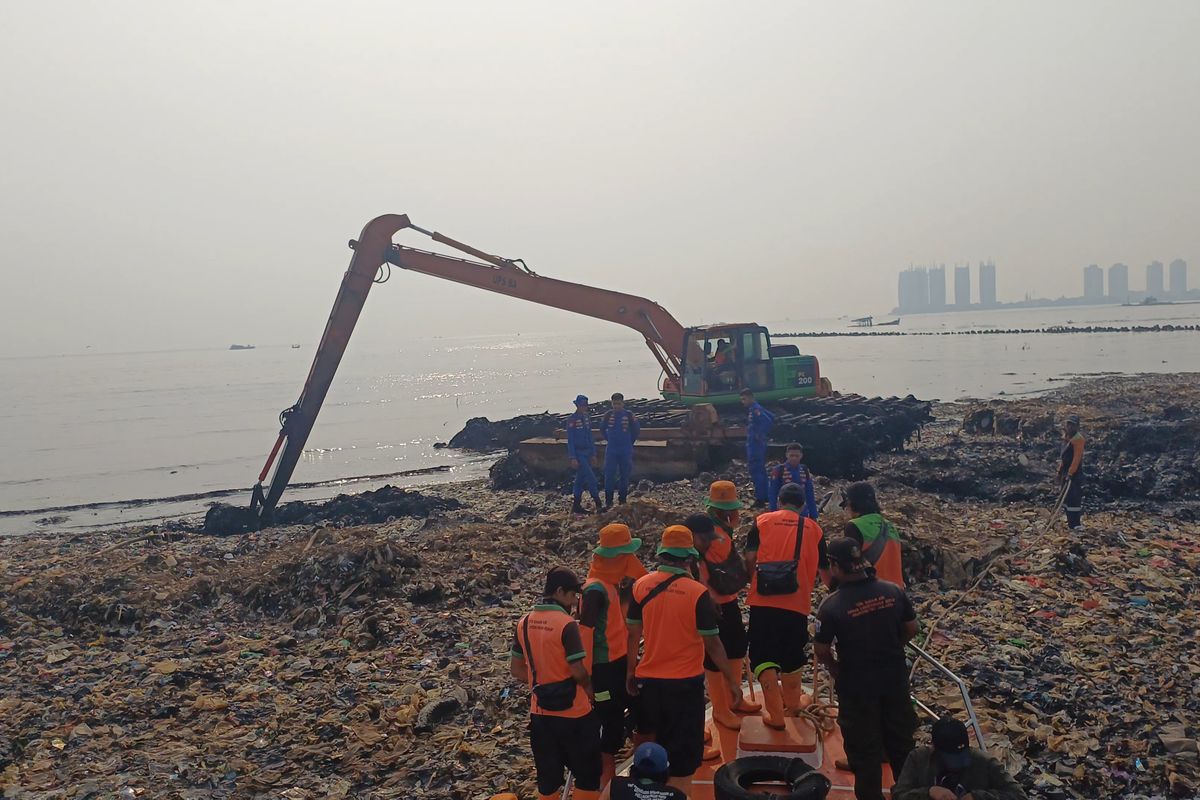 Butuh Lebih Satu Dekade Pulihkan Mangrove yang Terdampak Pulau Sampah Muara Angke News 5 Juni 2026