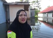 Dua Bulan Banjir Rendam Malangke, Luwu Utara: 300 Rumah Tergenang dan Akses Jalan Terputus