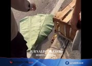 Heboh Dikira Jasad Bayi di Flyover Tanah Baru Depok, Ternyata Bangkai Kucing