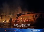 KKB Bakar SD Yapis Waghete I di Deiyai, Papua Tengah: Ratusan Anak Kehilangan Tempat Belajar