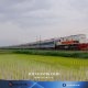 KAI Operasikan 39 Trainset Stainless Steel New Generation di Berbagai Relasi Kereta Api News 6 Juni 2026