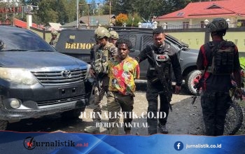 Anggota KKB Anak Buah Jeki Murib yang Terlibat Penembakan Karyawan Freeport Ditangkap Regional 6 Juni 2026
