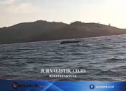 KSOP Labuan Bajo: Kapal Pengangkut WN Rusia yang Terbalik Belum Terdaftar