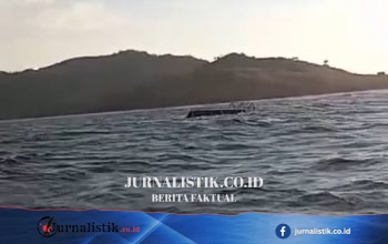 Tak Urus SPB, Kapal Pengangkut WN Rusia yang Terbalik Tidak Terdaftar Regional 8 Juni 2026
