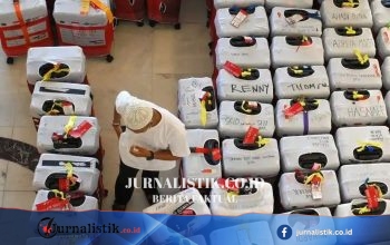 Koper Jemaah Haji Mulai Ditimbang Jelang Fase Pemulangan via Bandara Madinah News 15 Juni 2026