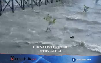 BMKG Akhiri Peringatan Tsunami di Berau, Tsunami Kecil Sempat Terpantau di Biduk-biduk Regional 8 Juni 2026