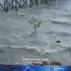 BMKG Akhiri Peringatan Tsunami di Berau, Tsunami Kecil Sempat Terpantau di Biduk-biduk Regional 8 Juni 2026