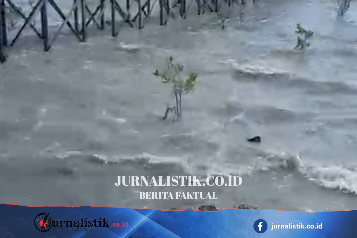 BMKG Akhiri Peringatan Tsunami di Berau, Tsunami Kecil Sempat Terpantau di Biduk-biduk Regional 8 Juni 2026