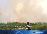 BNPB Gempur Api dari Udara Usai 29,1 Hektare Lahan Terbakar di Aceh Barat