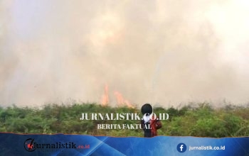 BNPB Gempur Api dari Udara Usai 29,1 Hektare Lahan Terbakar di Aceh Barat Regional 9 Juni 2026