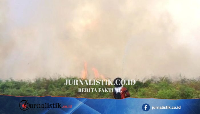BNPB Gempur Api dari Udara Usai 29,1 Hektare Lahan Terbakar di Aceh Barat