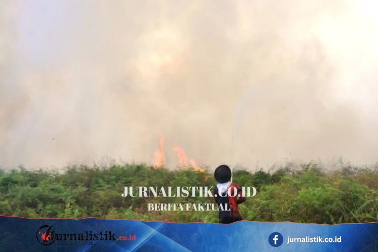 BNPB Gempur Api dari Udara Usai 29,1 Hektare Lahan Terbakar di Aceh Barat Regional 9 Juni 2026