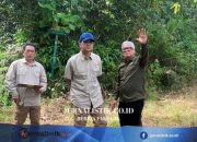Orangutan Terancam, Menteri Transmigrasi Janji Tuntaskan Sengketa Lahan BOSF di Kaltim Regional 12 Juni 2026