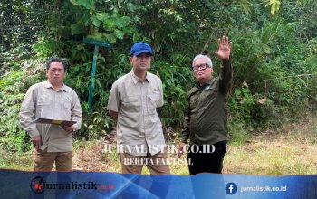 Orangutan Terancam, Menteri Transmigrasi Janji Tuntaskan Sengketa Lahan BOSF di Kaltim Regional 12 Juni 2026