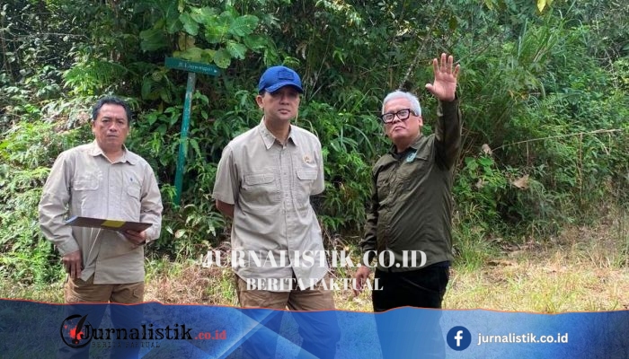 Orangutan Terancam, Menteri Transmigrasi Janji Selesaikan Sengketa Lahan BOSF di Kaltim