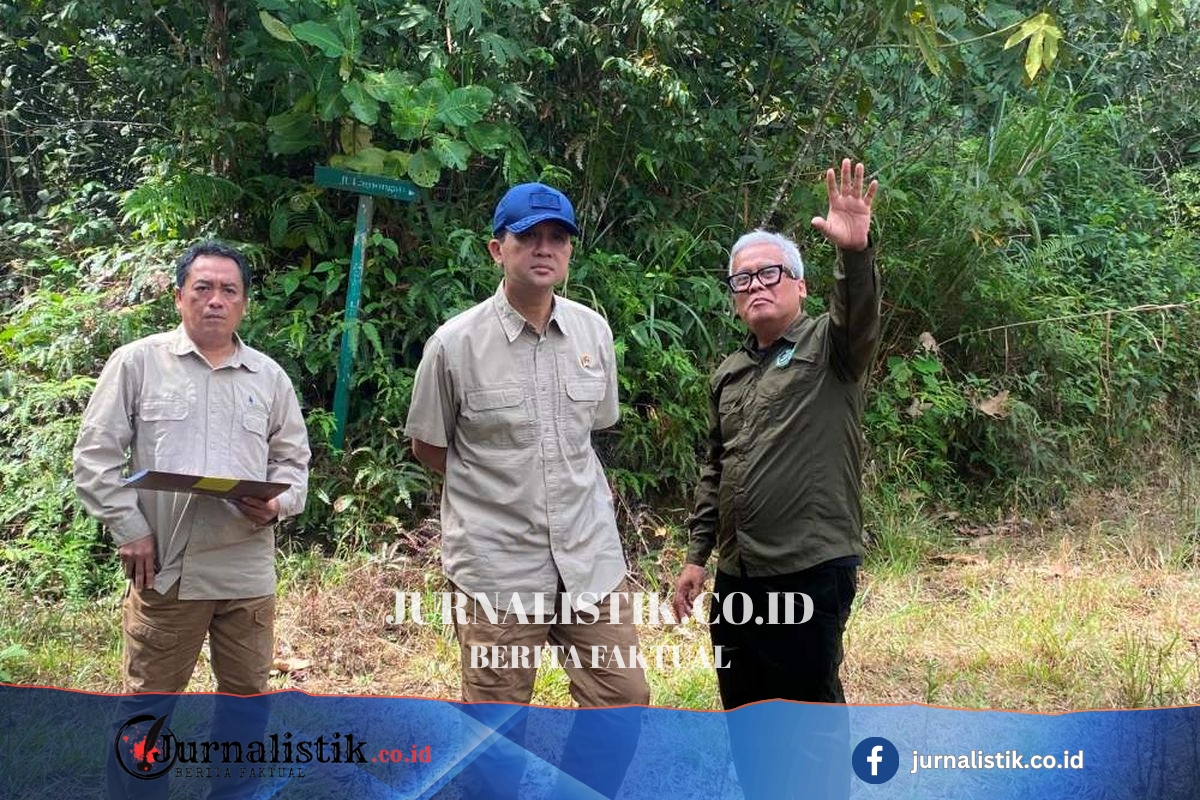 Orangutan Terancam, Menteri Transmigrasi Janji Tuntaskan Sengketa Lahan BOSF di Kaltim Regional 12 Juni 2026